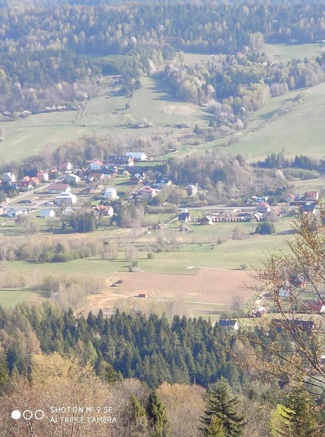 Domki Brzozowka W Bieszczadach Ustrzyki Dolne Buitenkant foto