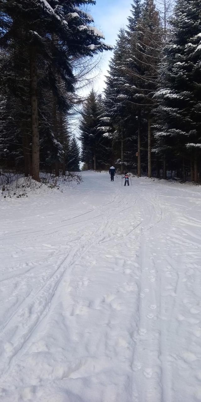 Domki Brzozowka W Bieszczadach Ustrzyki Dolne Buitenkant foto