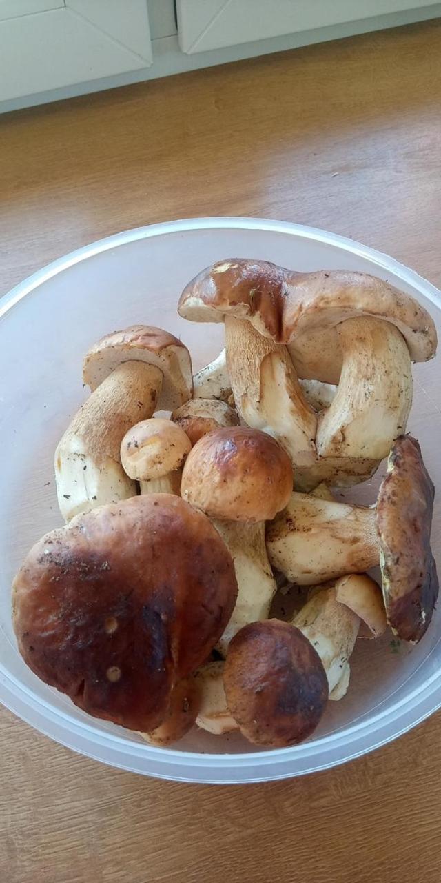 Domki Brzozowka W Bieszczadach Ustrzyki Dolne Buitenkant foto