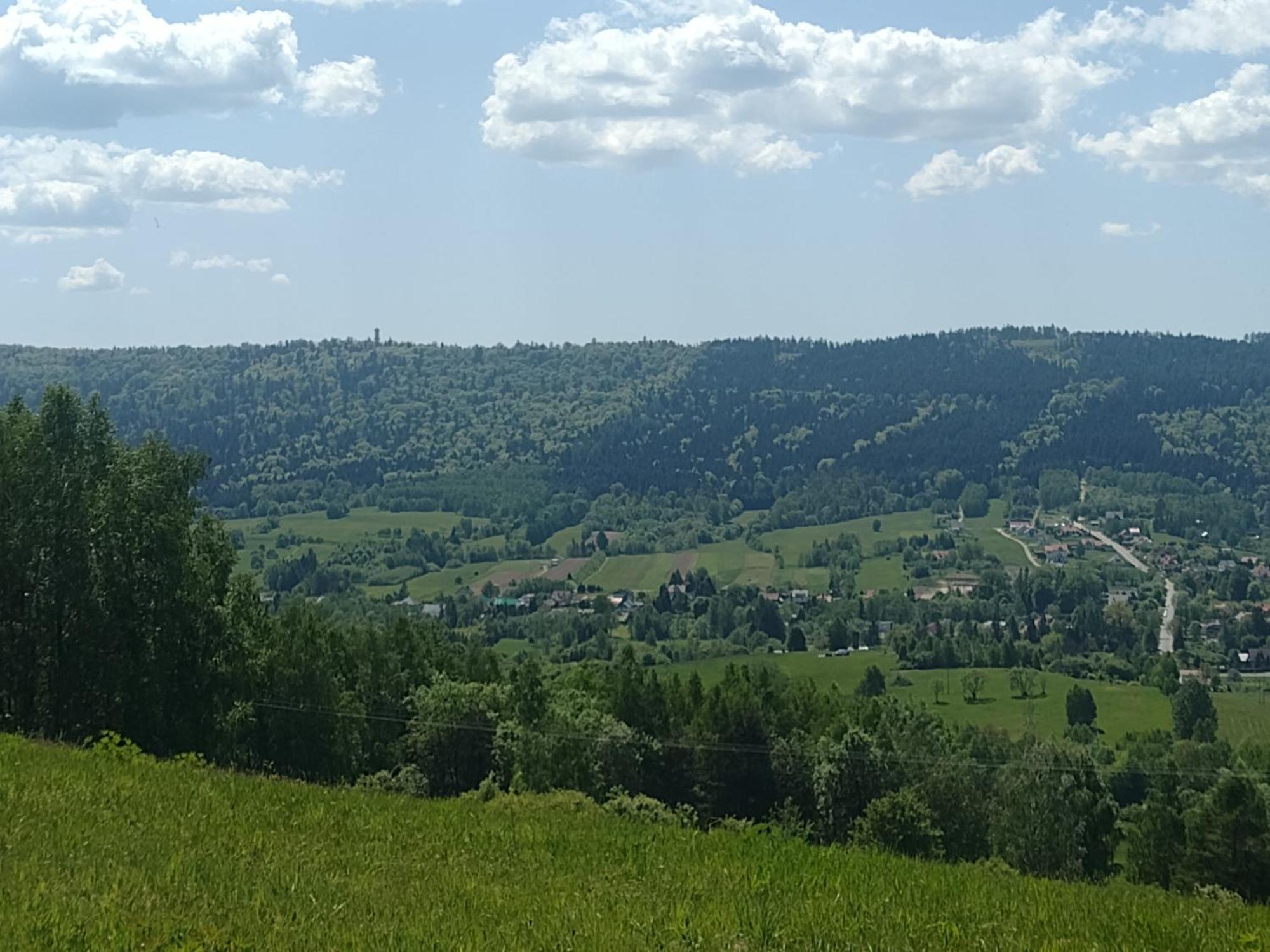 Domki Brzozowka W Bieszczadach Ustrzyki Dolne Buitenkant foto