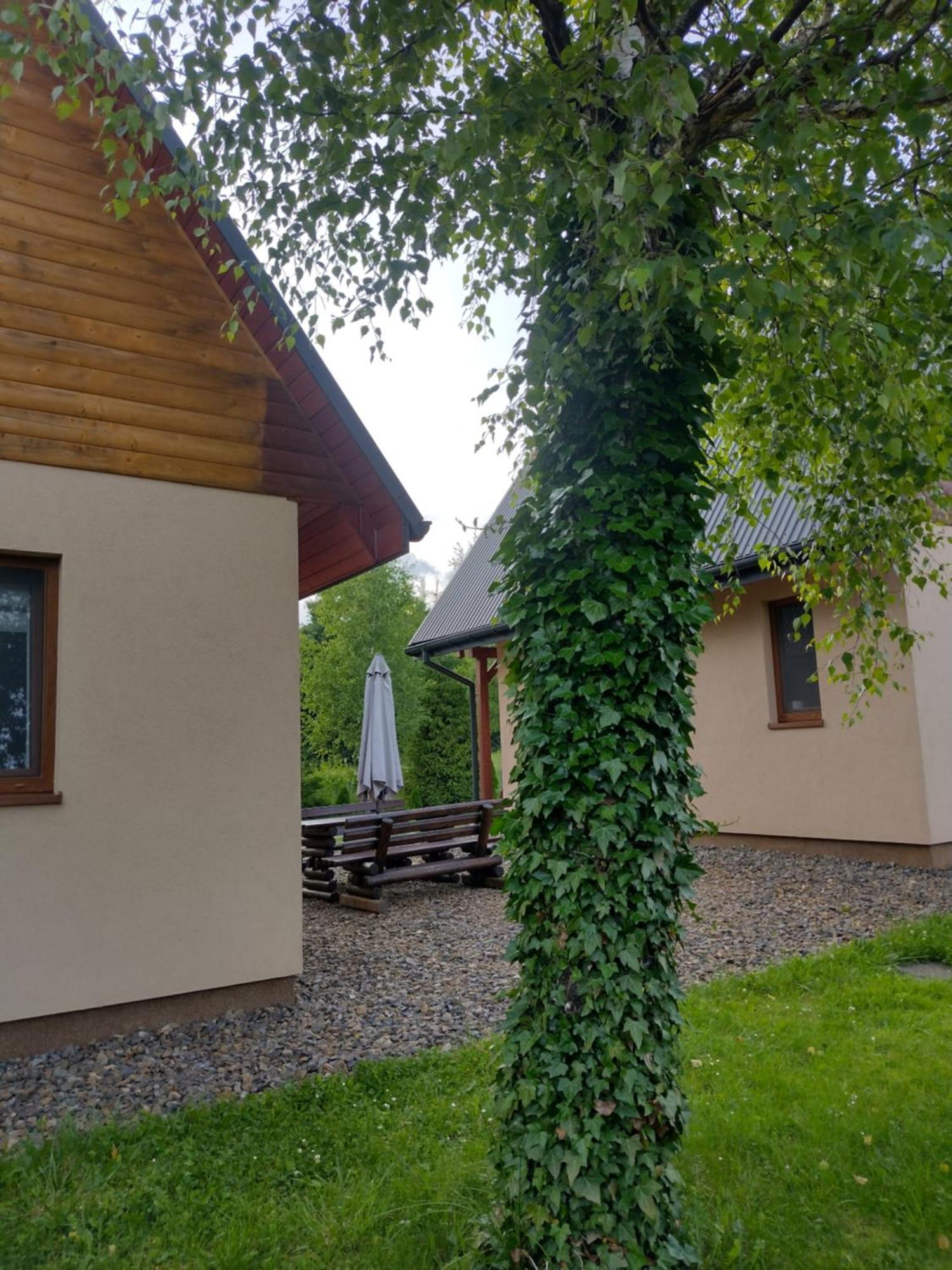 Domki Brzozowka W Bieszczadach Ustrzyki Dolne Buitenkant foto