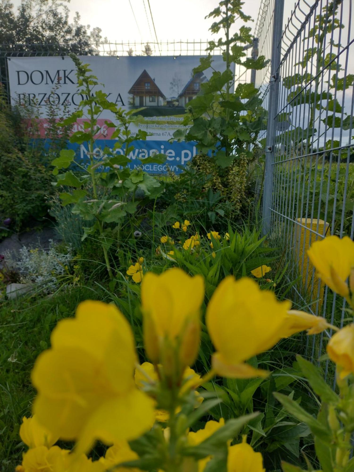 Domki Brzozowka W Bieszczadach Ustrzyki Dolne Buitenkant foto